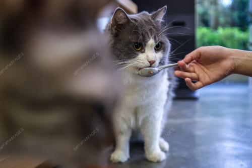 KL26_30042026_FLUFFY