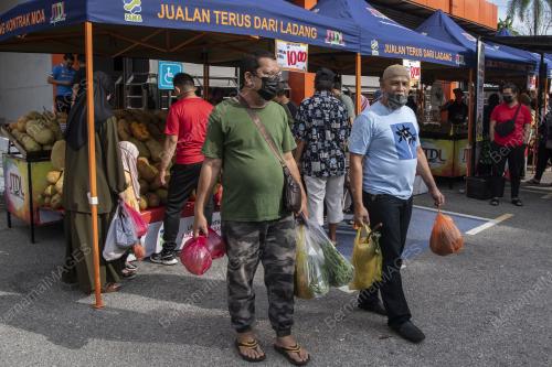 PROGRAM JUALAN TERUS DARI LADANG