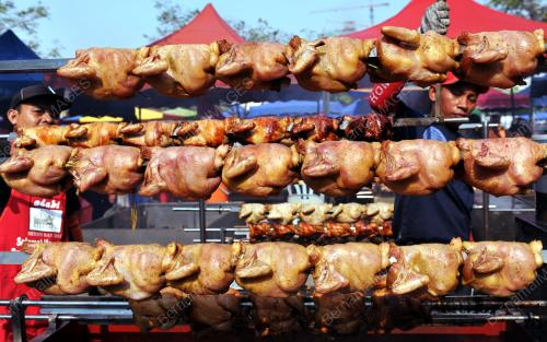 AYAM GOLEK