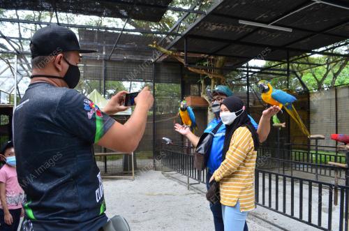 PEMBUKAAN FASA 3 TAMAN HAIWAN