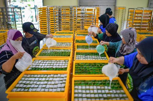 TEPUNG PELITA RAMADAN