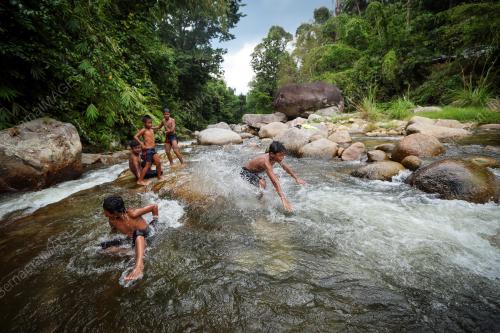 AKTIVITI GROUNDING