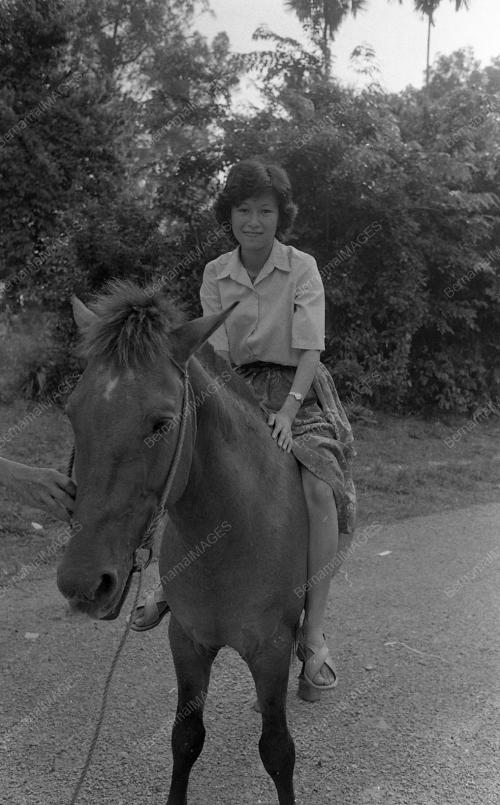 BAJAU HORSEMAN