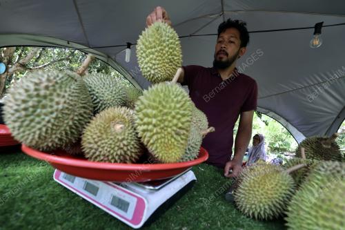 TINJAUAN CUTI UMUM