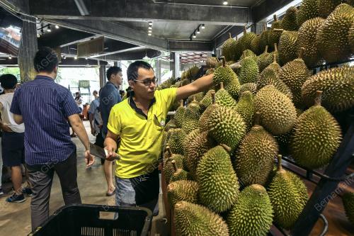 KL27_10072019_DURIAN_FESTIVAL