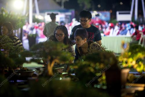 KL27_10122017_ORKID_BN201712093765