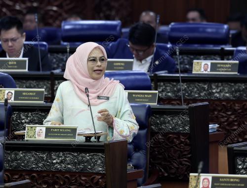 DATUK SERI DR NORAINI AHMAD
