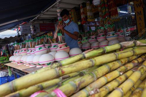 AROMA OF 'PONGGAL' IN THE AIR
