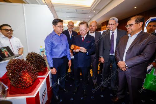 DATUK CHAN FOONG HIN
