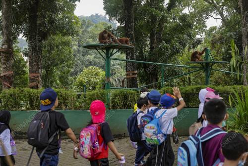 ZOO NEGARA