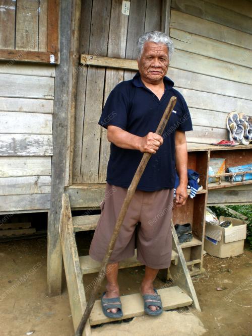 BAHDIN PULAI