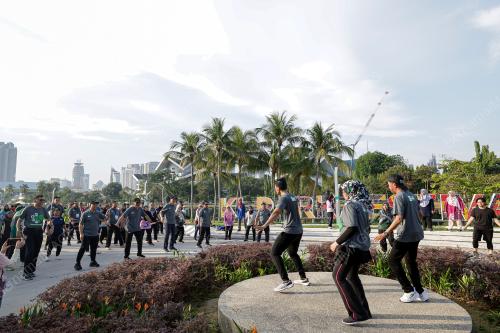 DATUK SERI DR DZULKEFLY AHMAD