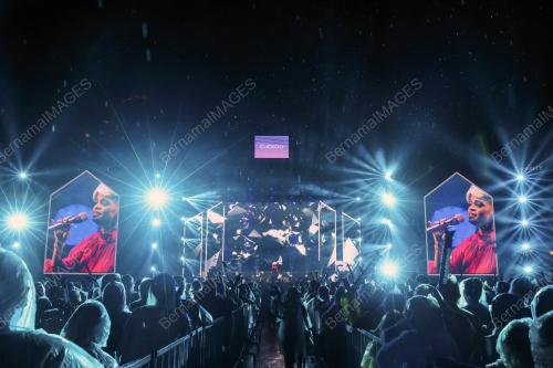 PESTA MUZIK CUCKOOTOPIA
