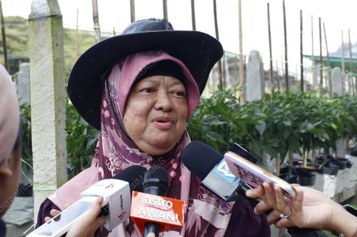 PROJEK TANAMAN CILI FERTIGASI