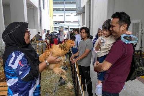 HARI TERBUKA YAYASAN PUSAT BELIA ANTARABANGSA