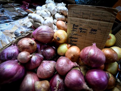 TINJAUAN HARGA BAWANG