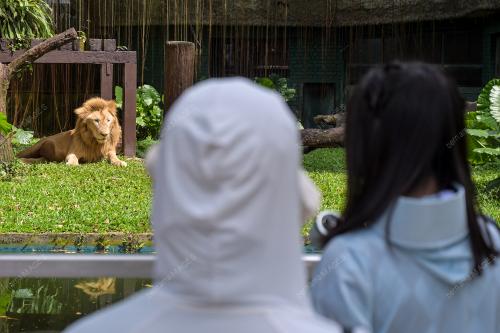 KL27_25122025_ZOO_NEGARA