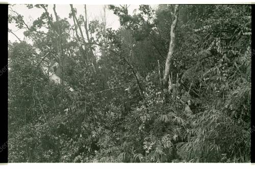HELIKOPTER SYARIKAT GENTING HIGHLAND