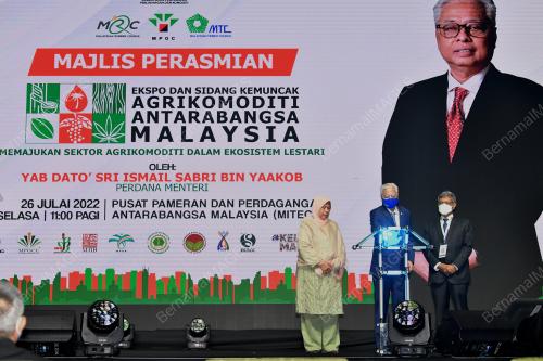 DATUK SERI ISMAIL SABRI YAAKOB