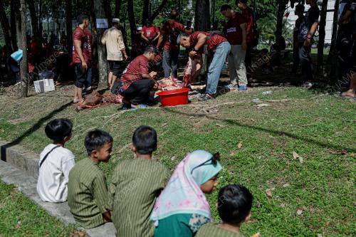 KL27_27052026_KORBAN