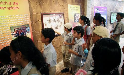ZOO SERANGGA