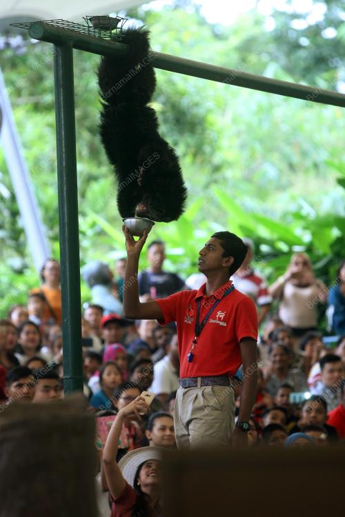 KL27_27062017_ZOO_BN201706267942