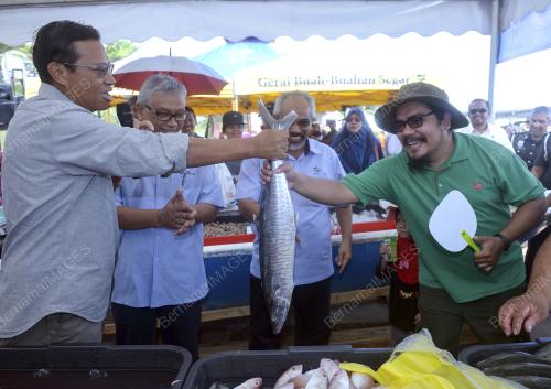 KL27_30092017_LELONG_IKAN