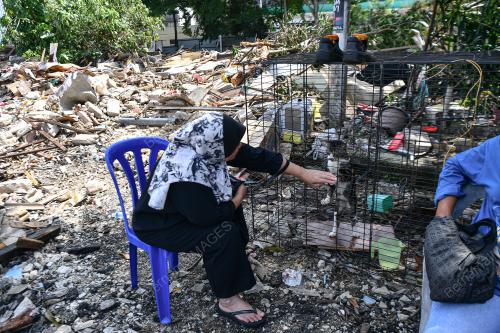 TINJAUAN KAMPUNG MAKMUR