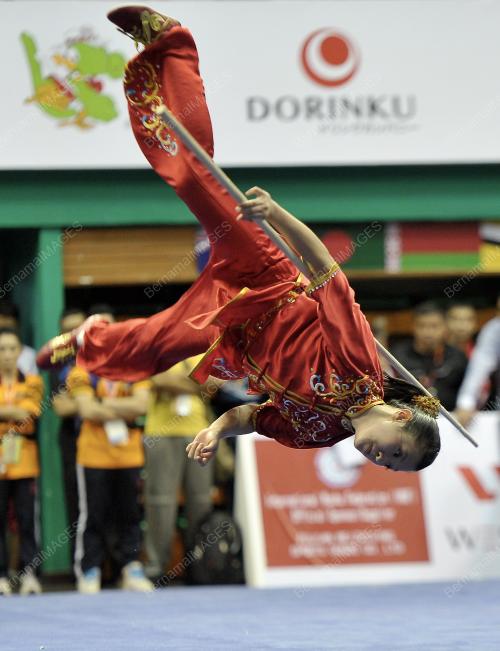 KL28_02112013_WUSHU