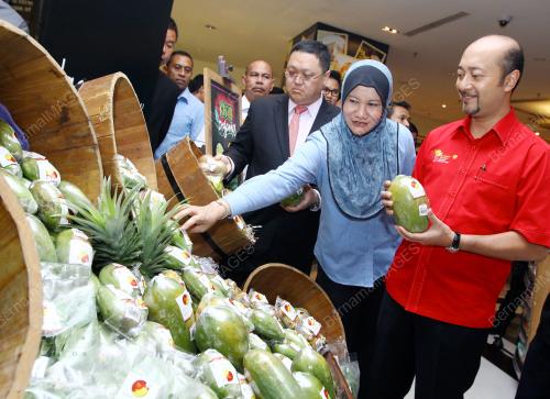 KL28_03052014_KEDAH_ORGANIK