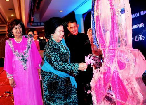 KL28_04062012_PINK_RIBBON