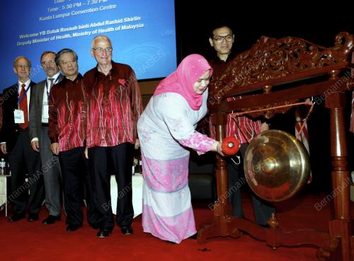 DATUK ROSNAH ABDUL RASHID SHIRLIN