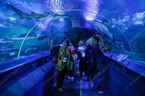 APEC:OCEAN AND FISHERIES WORKING GROUP FIELD TRIP