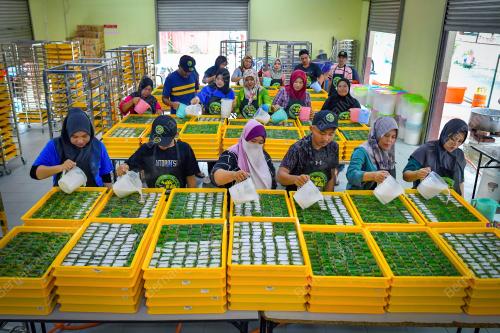 TEPUNG PELITA RAMADAN