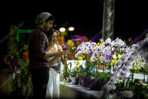 KL28_10122017_ORKID_BN201712093765