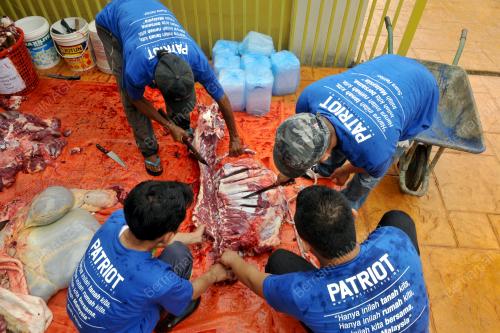 KL28_12092016_LEMBU_KORBAN