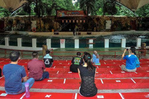 ZOO NEGARA DIBUKA SEMULA