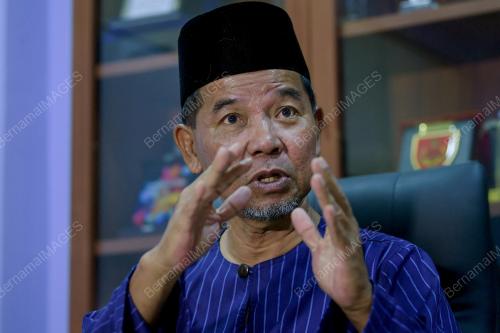 DATUK AHMAD SHAPAWI ISMAIL