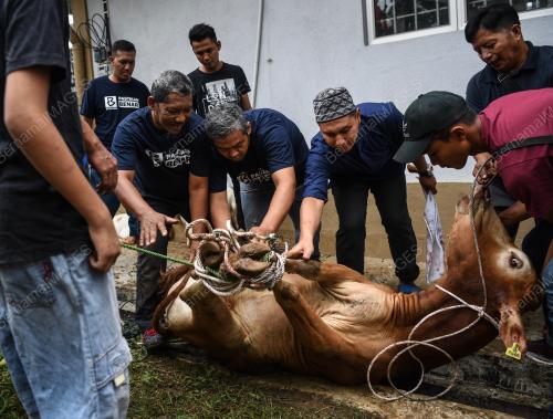 KL28_22082018_KORBAN