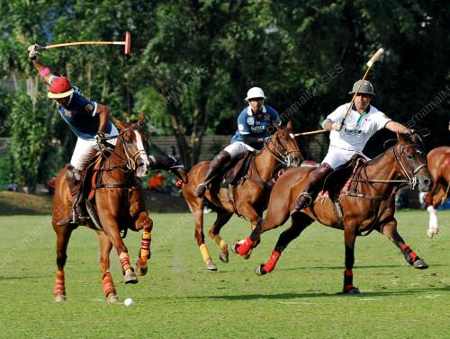 POLO ANTARABANGSA FIP