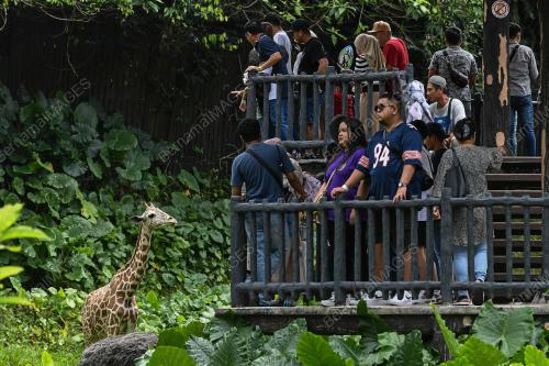 ZOO NEGARA