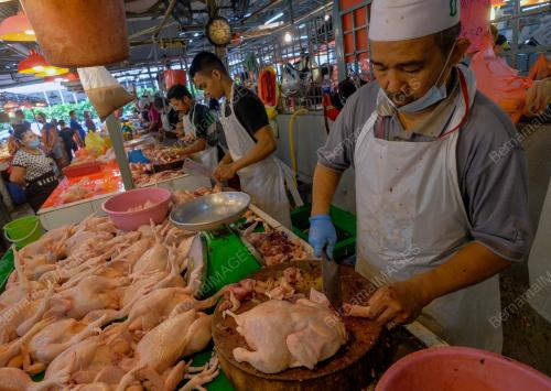 TINJAUAN HARGA DAN BEKALAN AYAM