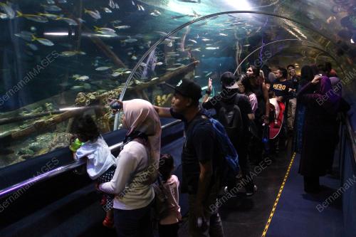 KL29_01022019_TINJAUANCUTIUMUM_03