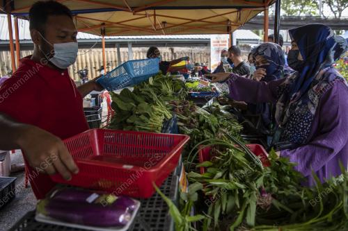 PROGRAM JUALAN TERUS DARI LADANG