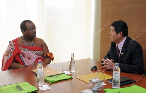 KL29_03072013_PROBASE_MSWATI