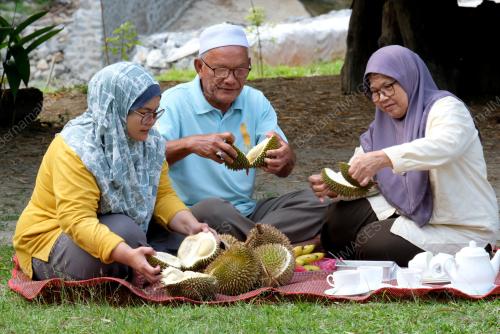 MUSIM DURIAN