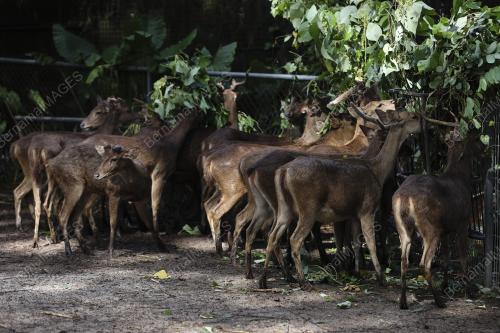 ZOO NEGARA - PERINTAH KAWALAN PERGERAKAN COVID 19