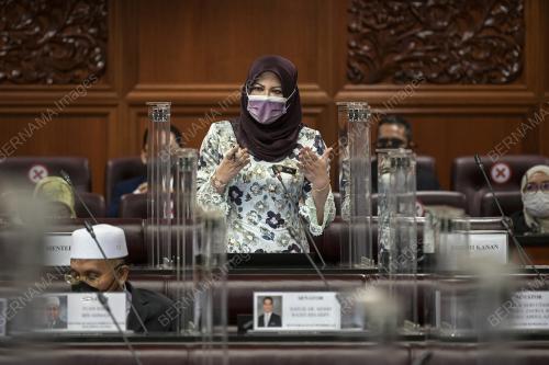 DATUK SERI RINA MOHD HARUN