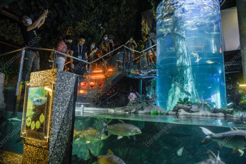 APEC:OCEAN AND FISHERIES WORKING GROUP FIELD TRIP