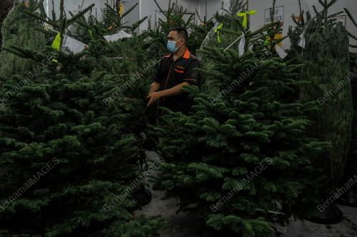 PERSIAPAN HARI NATAL